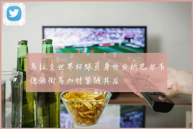 乌拉圭世界杯球员身价分析巴尔韦德领衔乌加特紧随其后